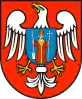 Mława County