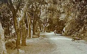 The Ponce–Adjuntas Road in Ponce in 1920, now a section of PR-123