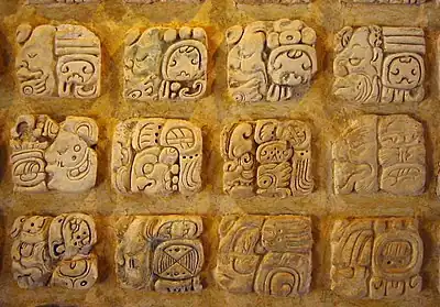 Image 20Maya glyphs in stucco now on display at Museo de sitio in Palenque, Mexico (from Indigenous peoples of the Americas)