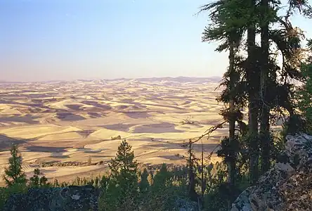 Palouse fields from Kamiak Butte, fall