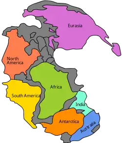 Image 83Pangaea was a supercontinent that existed from about 300 to 180 Ma. The outlines of the modern continents and other landmasses are indicated on this map. (from History of Earth)