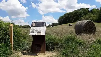 Interpretive panel on the trail