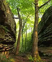 The Panther Rocks formation in Moshannon State Forest