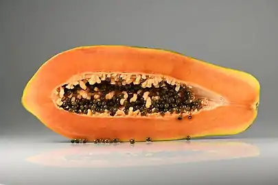 Longitudinal section of fruit showing orange flesh and numerous black seeds