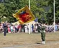 Colour guard