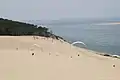 Paragliders above the dune