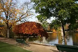 Weeping beeches (Fagus sylvatica tortuosa) encircle the central lake of Parc Montsouris.