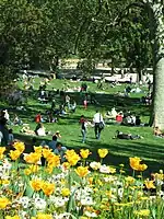 The sloping lawns, a popular gathering place on weekends