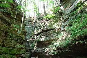 Parfrey's Glen