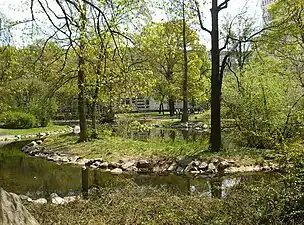 Island in the pond