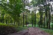 Park near the castle