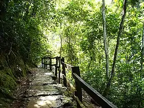 Guatopo National Park, Guárico State