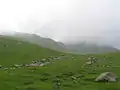 Lush green Pastures of the Hirpora Wildlife Sanctuary at Pir Ki Gali.