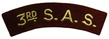 Arm patch of the 3rd French Special Air Service when it served in the British Army, now 3e R.C.P.