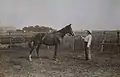 Paul Mirat in Argentina 1920