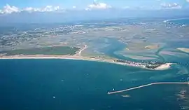 Salt marshes from above