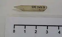 Picture of a quill nib.