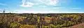 Pepin County panorama, west of Durand