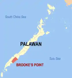 Map of Palawan with Brooke's Point highlighted