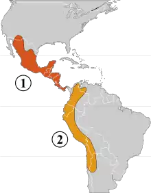 Two genetic pools of the domestication of P. vulgaris  1 – Mesoamerican area2 – Andean area