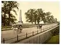 Dutch Elms, Phoenix Park, Dublin, c.1890