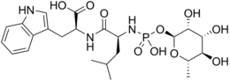 Skeletal formula of phosphoramidon