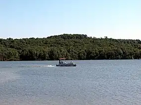 A pontoon boat on a lake with a forested shore