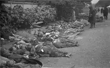 Bodies in Ueno Park