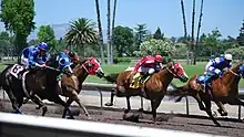 Quarter horse racing at the Alameda County Fair in Pleasanton