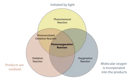 Photooxygenation venn diagram