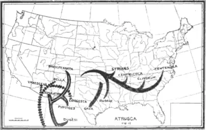 "Phylogenetic origins in Atrusca" from The Gall Wasp Genus Cynips by Alfred Kinsey, p.72. Fig. 12