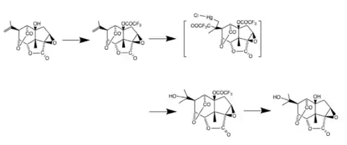 Picrotin from picrotoxinin: (1) Protection with trifluoroacetic anhydride, followed by (2) addition of chloromercury trifluoroacetate, which (3) spontaneously decomposes to the alcohol and can then be (4) deprotected