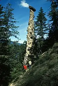 Tall stone pillar surrounded by trees