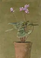 Pink Cyclamen, c. 1870s