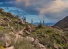 Pinnacle Peak Hiking Trail