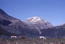 Mt. Kenny, northern Rockies