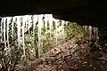 View from Black Mountain Trail, with icicles in the foreground.