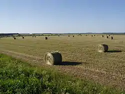 A field near Pizhanka in Pizhansky District