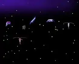 Six relatively large variously shaped organisms with dozens of small light-colored dots all against a dark background. Some of the organisms have antennae that are longer than their bodies.