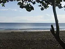 Playa Negra in Puerto Viejo de Talamanca