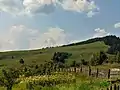 Natural landscape from the village of Pleșa (Polish: Plesza)