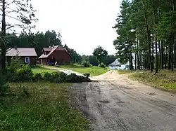 Forest in Krynica