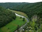 Thaya in Podyjí National Park