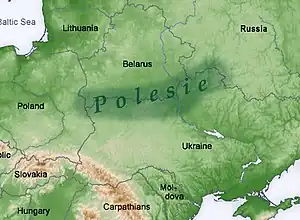 Polesie region of Eastern Europe marked in dark green. One of the largest forest areas on the continent