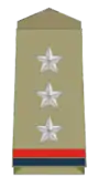 Insignia of a Inspector