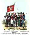 Polish infantry