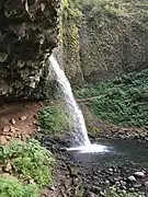 Ponytail falls