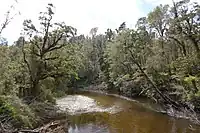 Pororari River upstream of the gorge