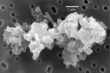 Image 11Porous chondrite dust particle (from Cosmic dust)