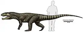 Postosuchus, a rauisuchid which was an apex predator in parts of Late Triassic North America